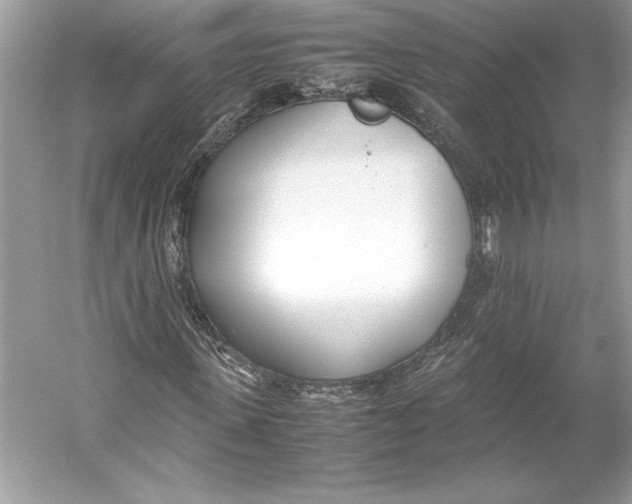 X0000052950915200508050918