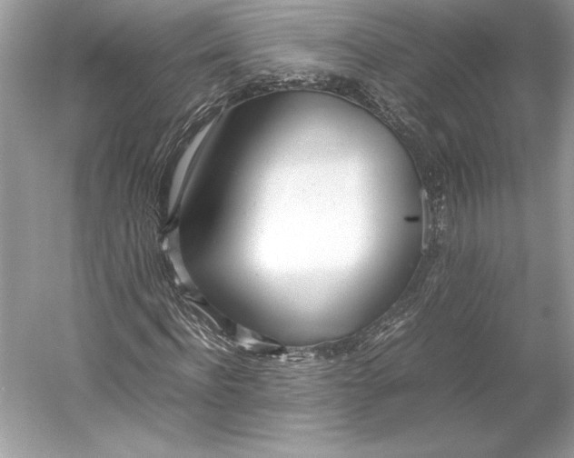 X0000052950916200508050918