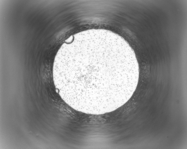 X0000052950918200508050918