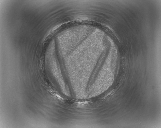 X0000052950919200508050918