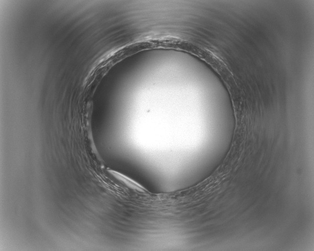 X0000052950920200508050918