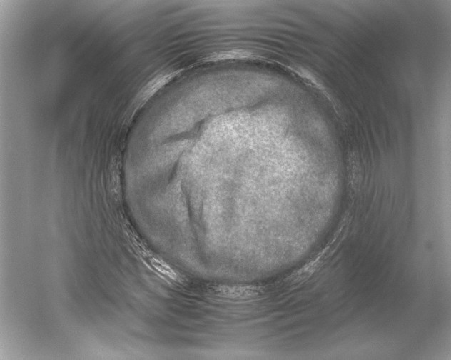 X0000052950921200508050918