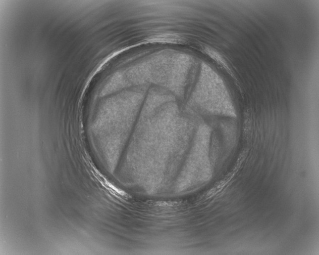 X0000052950923200508050918