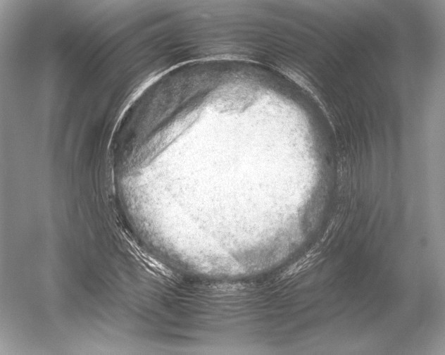 X0000052950925200508050918