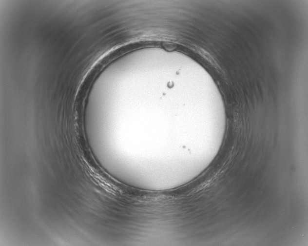 X0000052950926200508050918