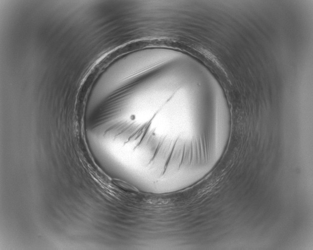 X0000052950927200508050918