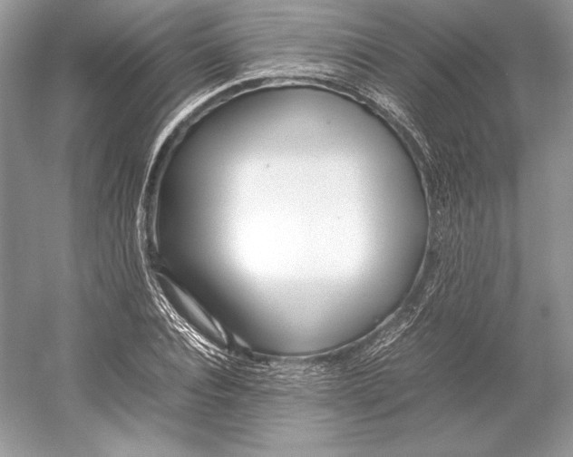 X0000052950928200508050918