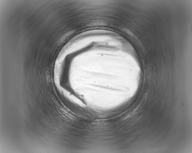 X0000052950929200508050918