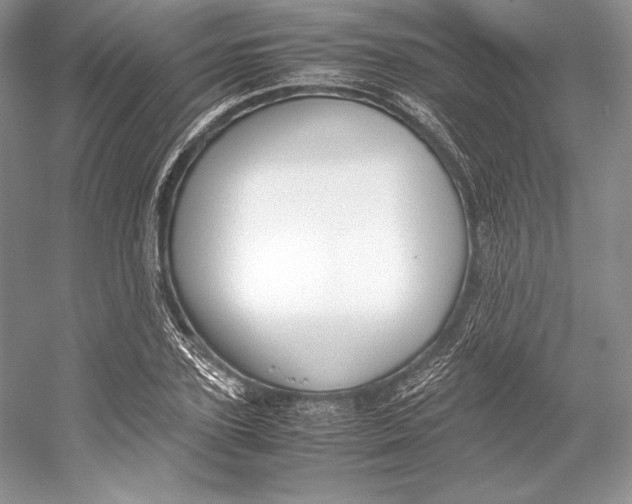 X0000052950931200508050918