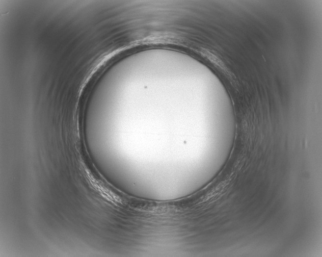 X0000052950934200508050918