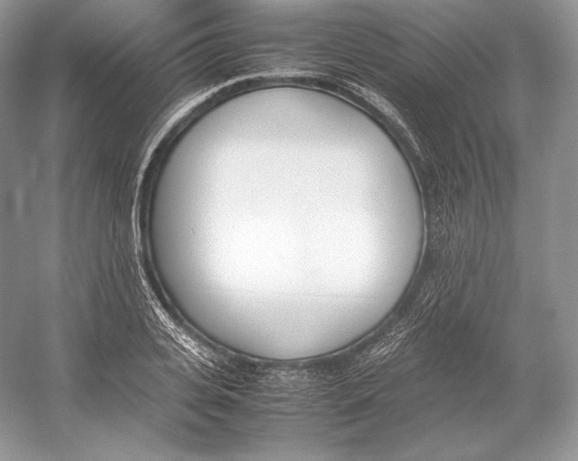 X0000052950935200508050918