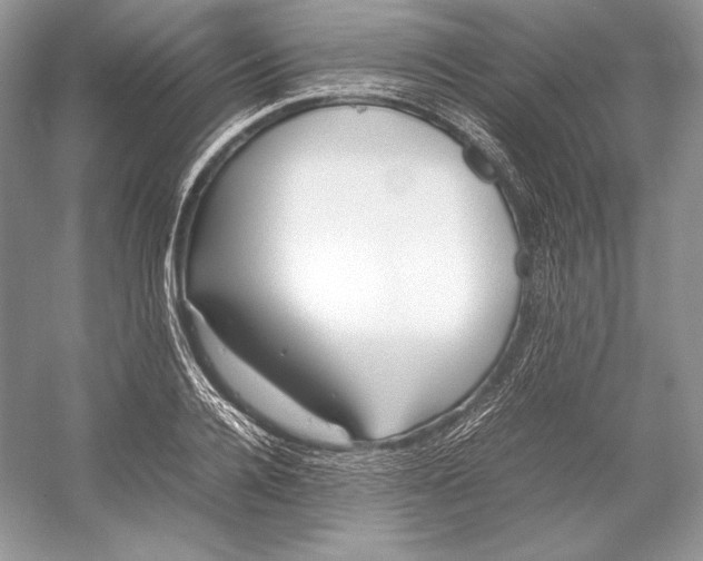 X0000052950936200508050918