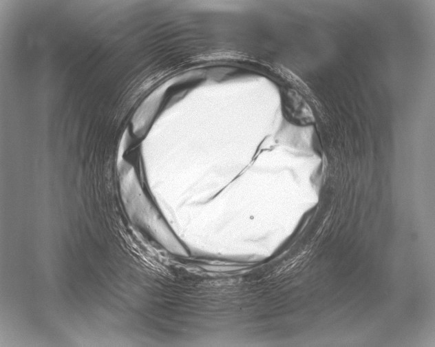 X0000052950937200508050918