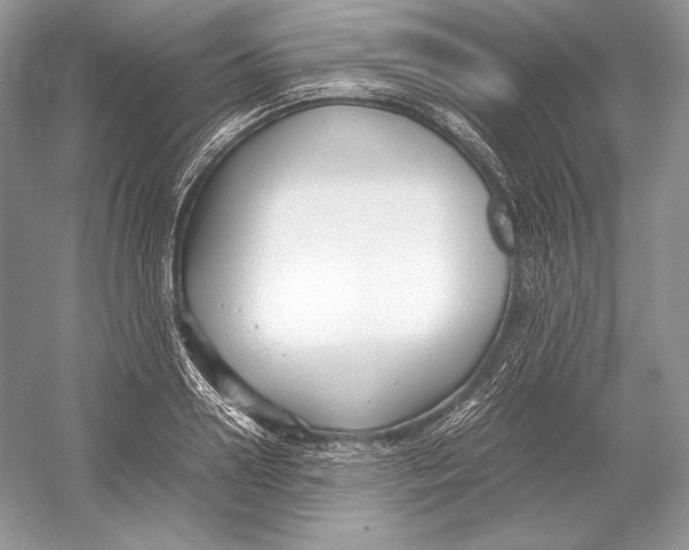 X0000052950938200508050918