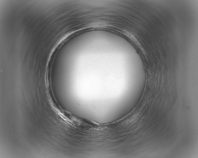 X0000052950939200508050918