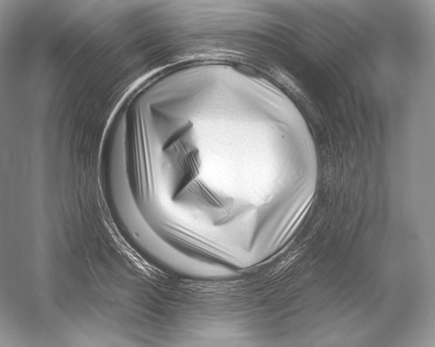 X0000052950940200508050918