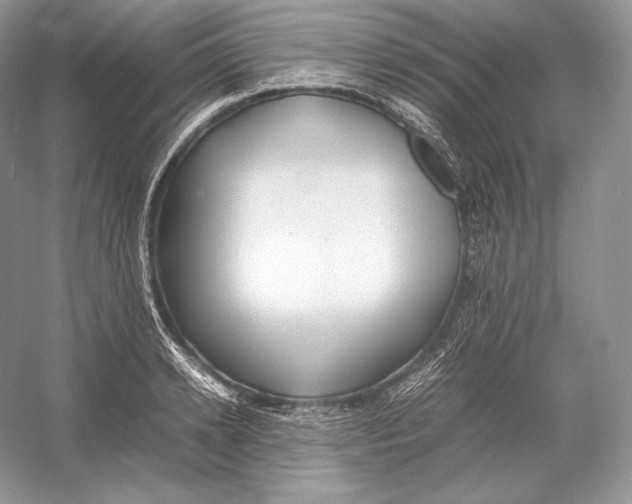 X0000052950942200508050918