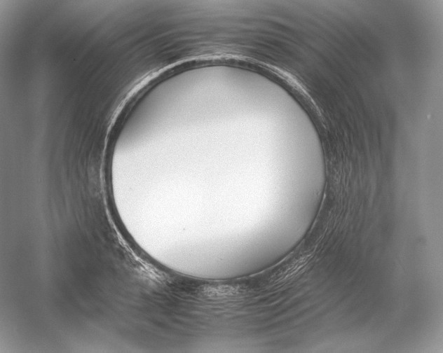 X0000052950943200508050918