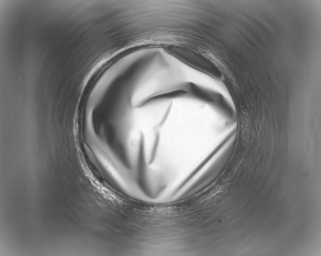 X0000052950944200508050918