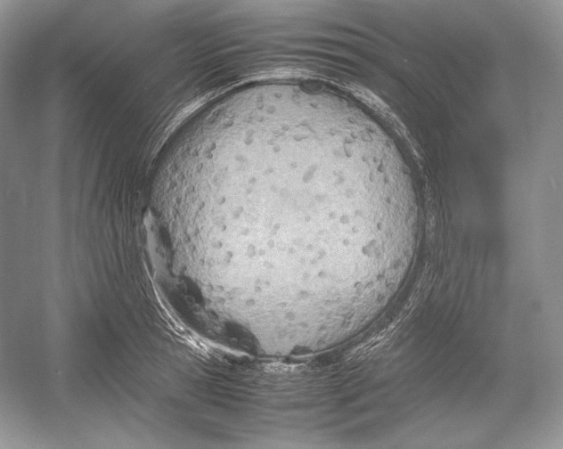 X0000052950945200508050918