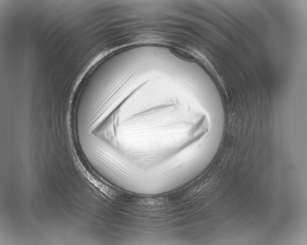 X0000052950947200508050918