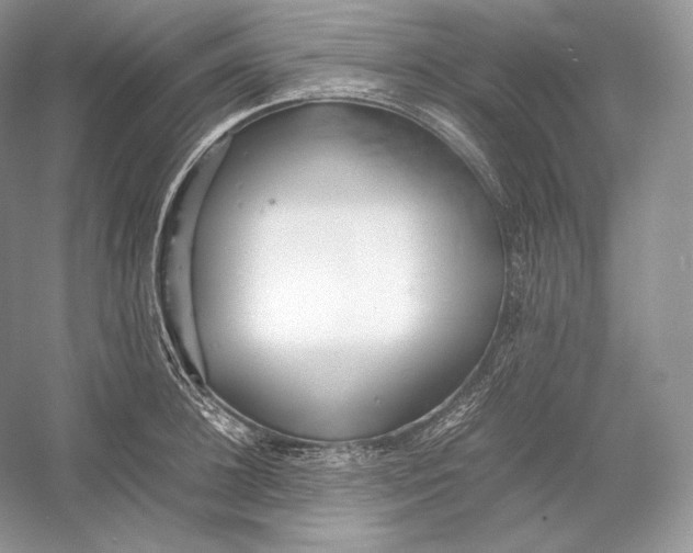 X0000052950948200508050918