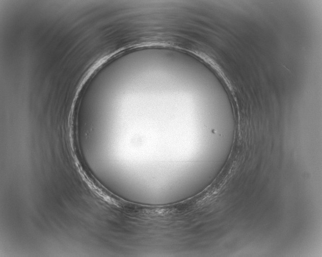 X0000052950949200508050918