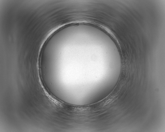 X0000052950951200508050918