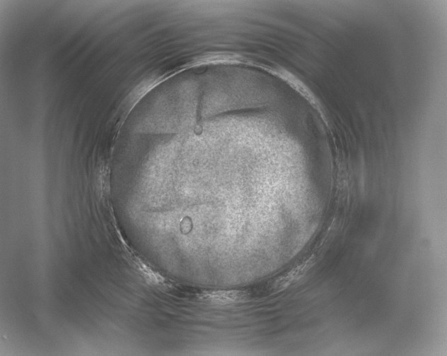 X0000052950953200508050918