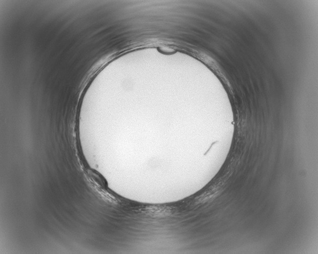 X0000052950954200508050918