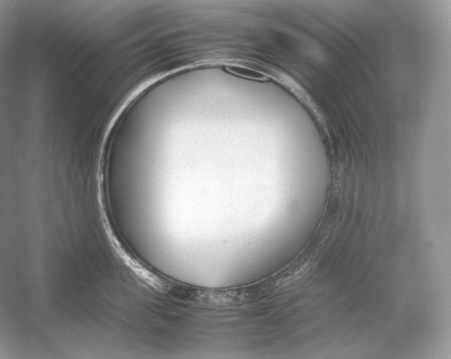 X0000052950955200508050918