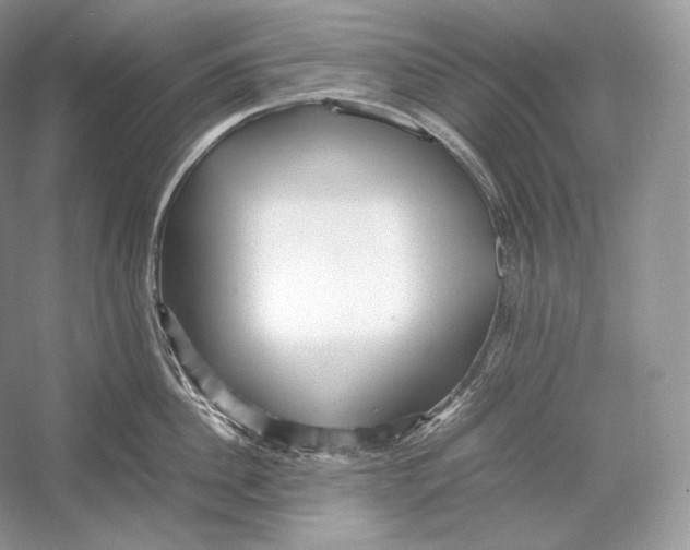 X0000052950956200508050918