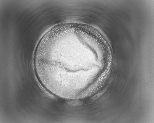 X0000052950957200508050918