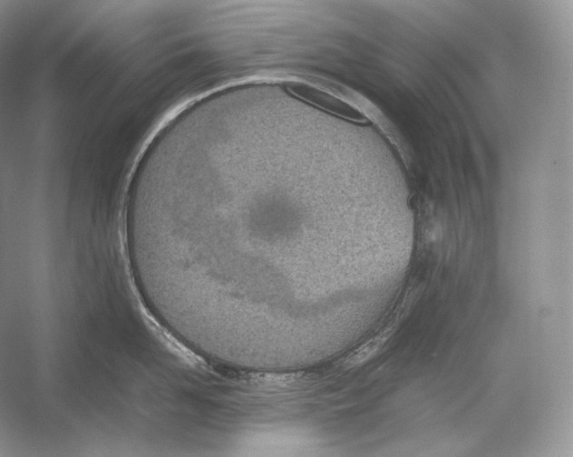 X0000052950958200508050918