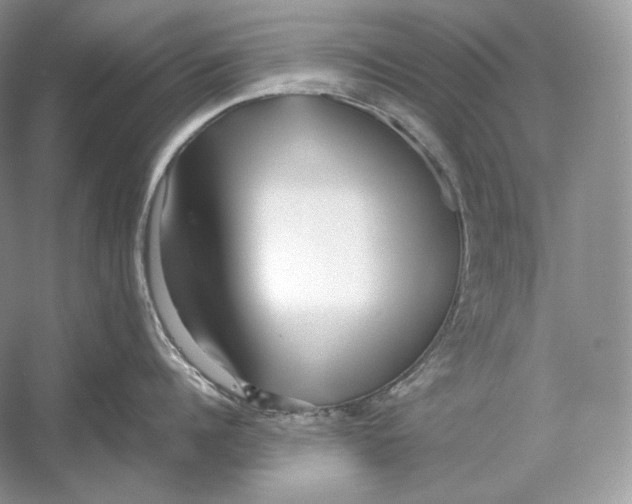 X0000052950960200508050919