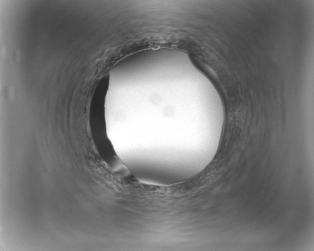 X0000052950961200508050918