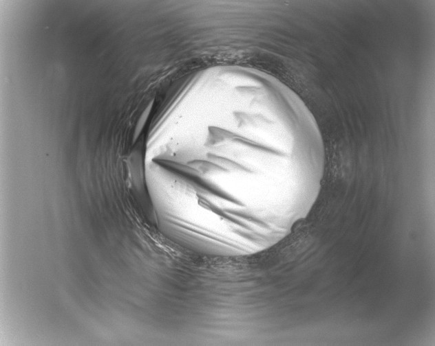 X0000052950962200508050918