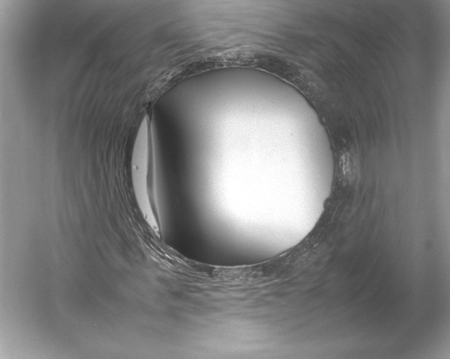 X0000052950963200508050918