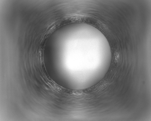 X0000052950964200508050918