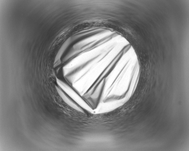 X0000052950967200508050918