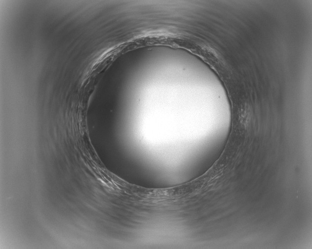 X0000052950968200508050918