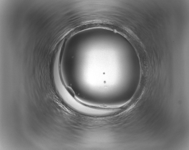 X0000052950969200508050918