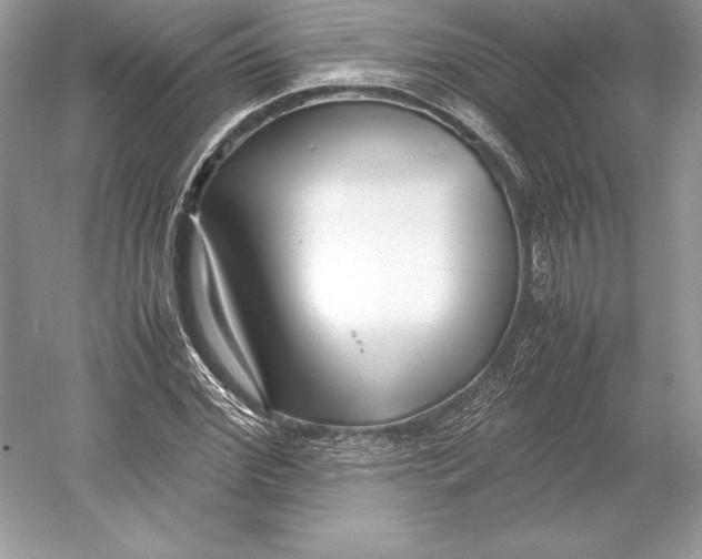 X0000052950972200508050917