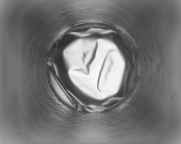 X0000052950977200508050917