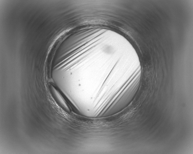 X0000052950979200508050917