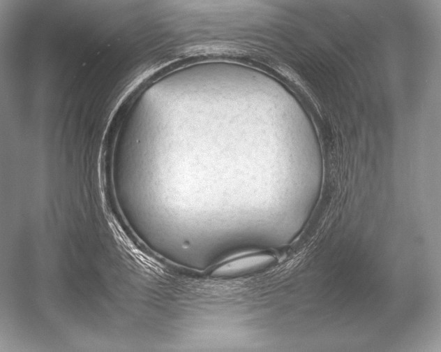 X0000052950983200508050917