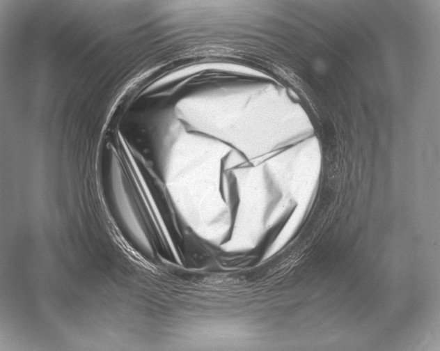 X0000052950987200508050917
