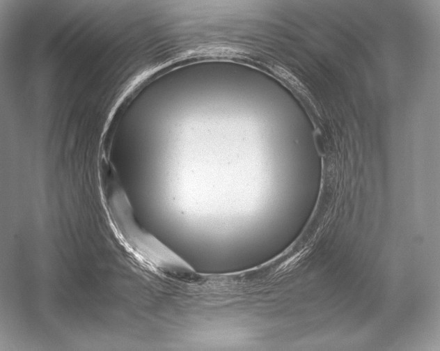 X0000052950989200508050917