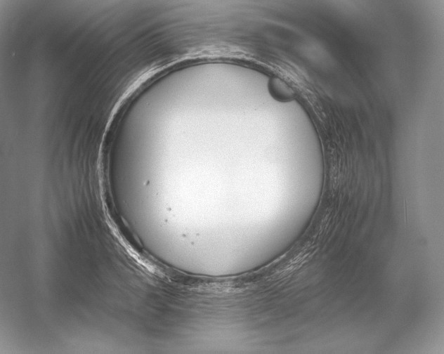 X0000052950990200508050917