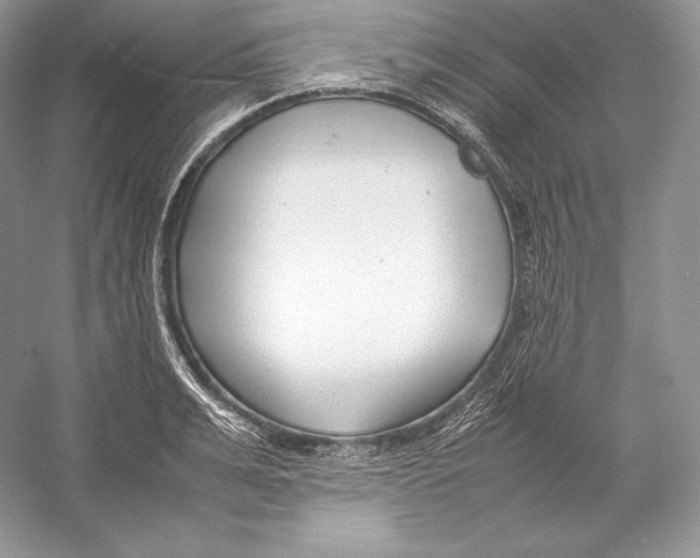 X0000052950991200508050917